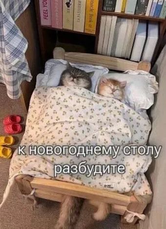 к новогоднему столу разбудитесь