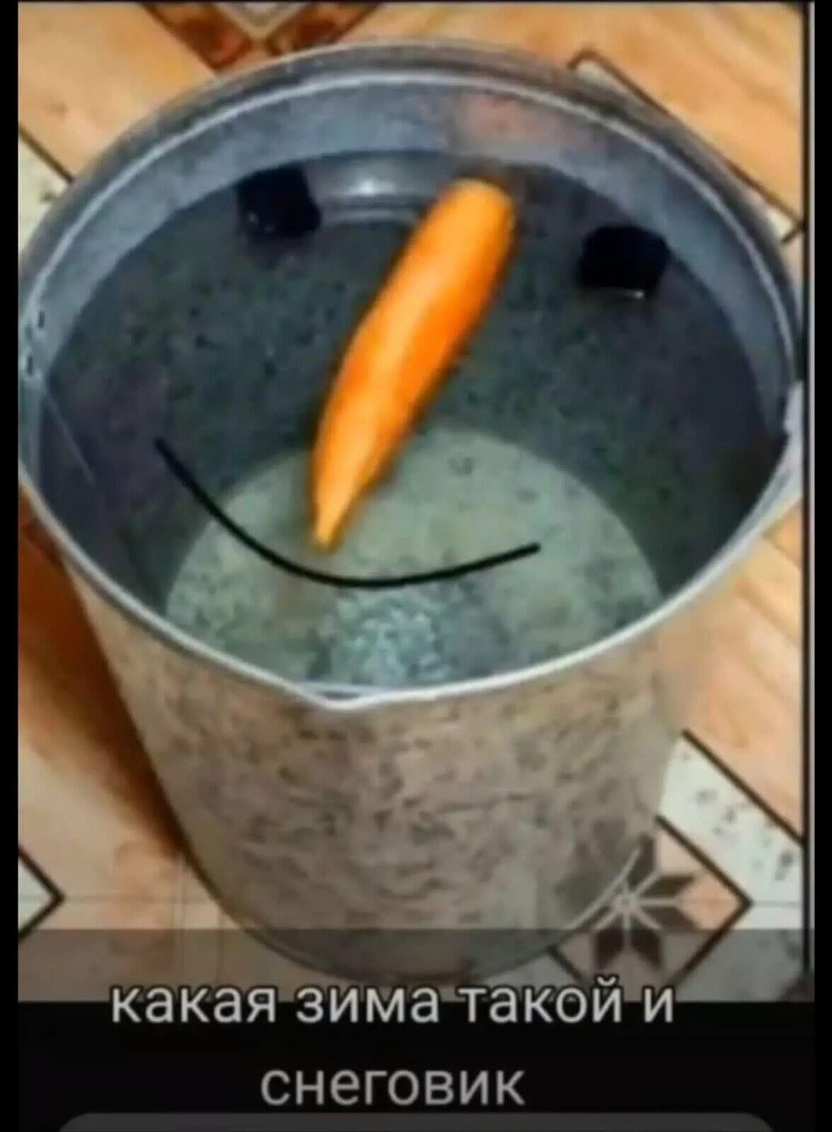 какая зима такая и снеговик