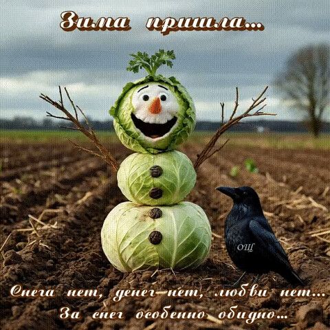 Зима пришла... Снега нет, денег нет, любви нет... За снег особенно обидно...