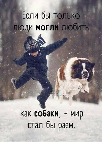 Если бы только люди могли любить как собаки, мир стал бы раем.