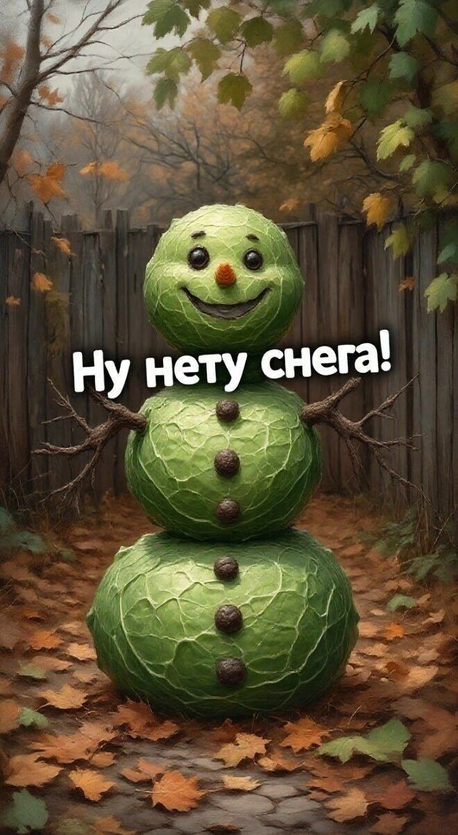 Ну нету снега!