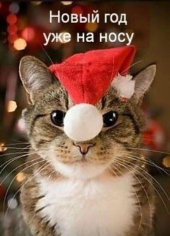 Новый год уже на носу