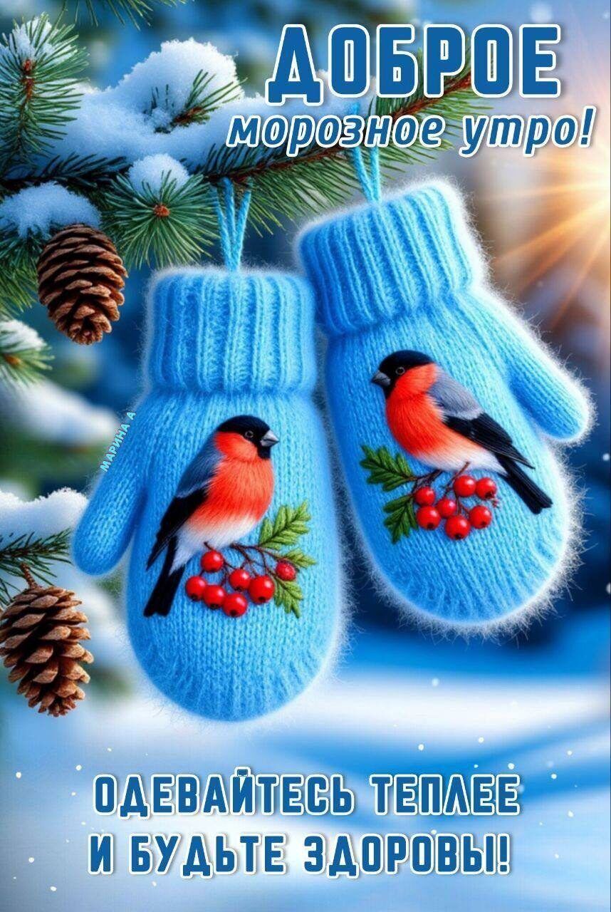 Доброе морозное утро! Одевайтесь теплее и будьте здоровы!