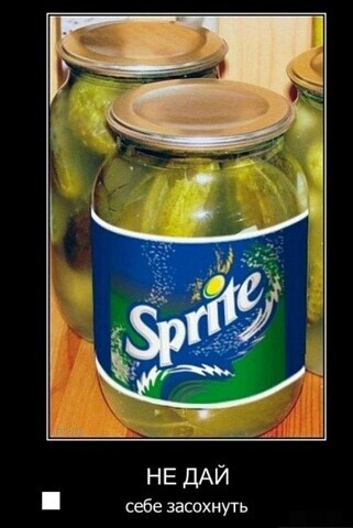 НЕ ДАЙ себе засохнуть