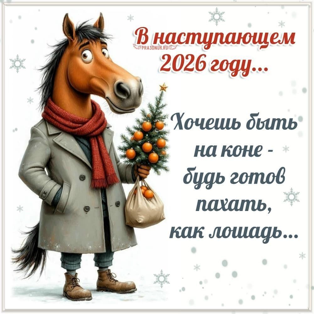 В наступающем 2026 году... Хочешь быть на коне - будь готов пахать, как лошадь...