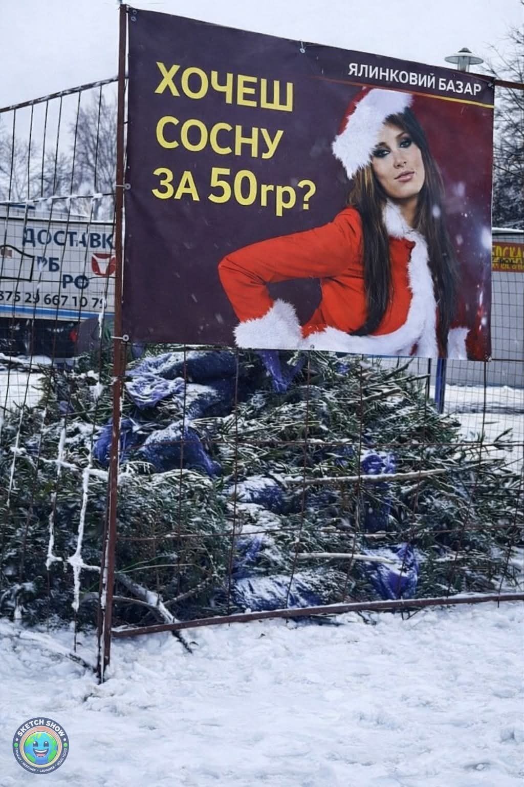 Хочеш сосну за 50гр?
Ялинковий базар