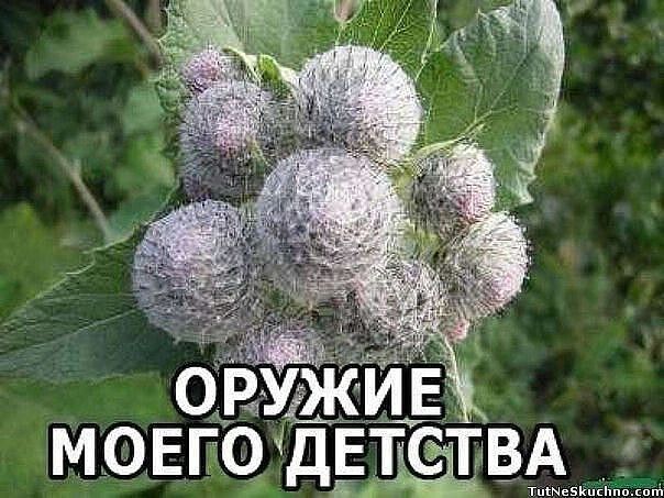ОРУЖИЕ МОЕГО ДЕТСТВА
