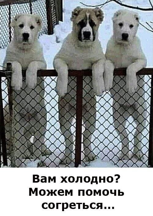 Вам холодно? Можем помочь согреться...