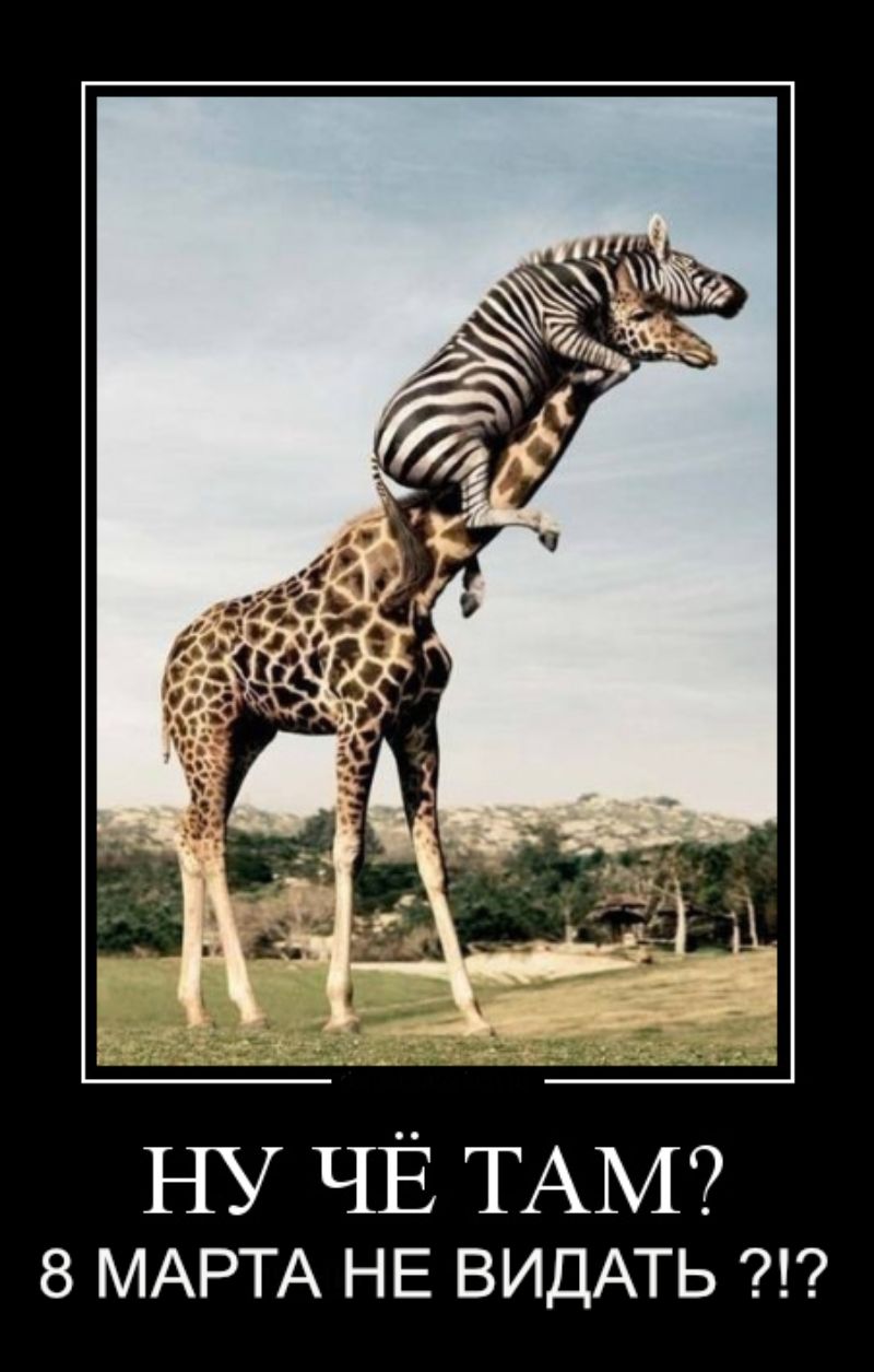 Ну чё там? 8 марта не видать?!?
