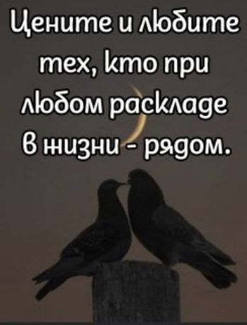 Цените и любите тех, кто при любом раскладе в жизни - рядом.