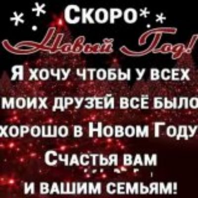 Скоро Новый год! Я хочу чтобы у всех моих друзей всё было хорошо в новом году. Счастья вам и вашим семьям!