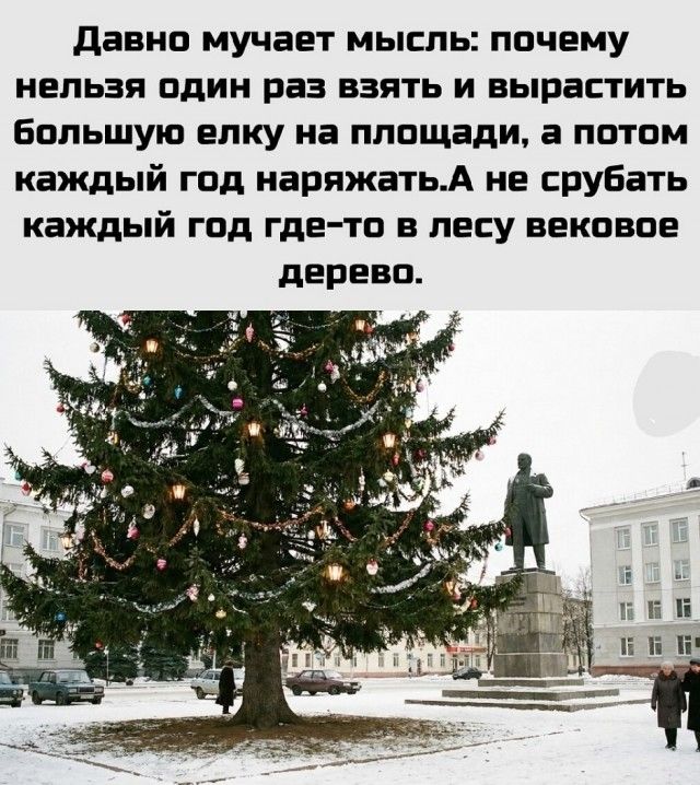 Давно мучает мысль: почему нельзя один раз взять и вырастить большую елку на площади, а потом каждый год наряжать. А не срубать каждый год где-то в лесу вековое дерево.