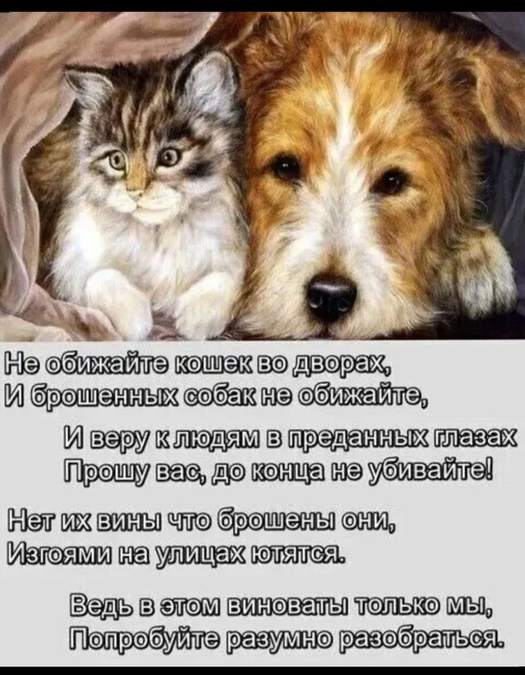 Не обижайте кошек во дворах,
И брошенных собак не обижайте,
И веру к людям в преданных глазах
Прошу вас, до конца не убийвайте!
Нет их вины что брошены они,
Изгоями на улицах ютаются.
Ведь в этом виноваты только мы,
Попробуйте разумно разобраться.