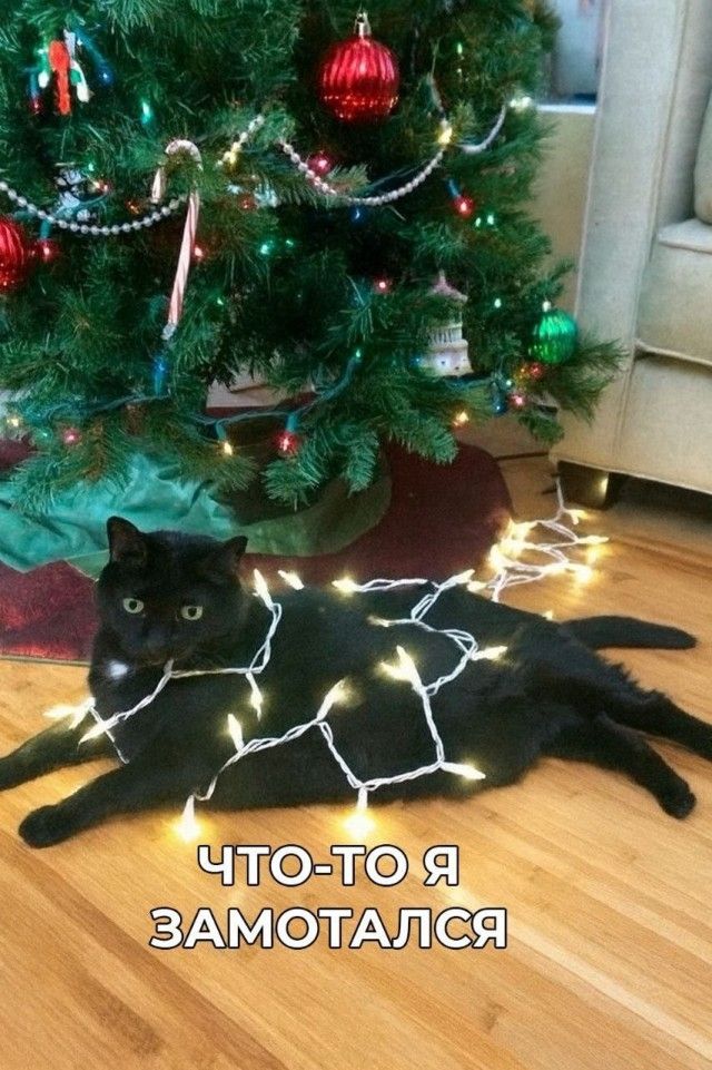 ЧТО-ТО Я ЗАМОТАЛСЯ