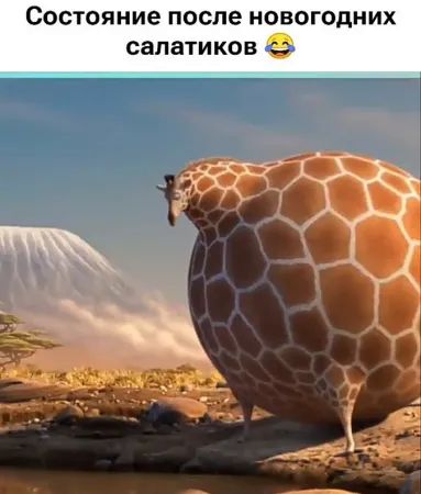 Состояние после новогодних салатиков 😂