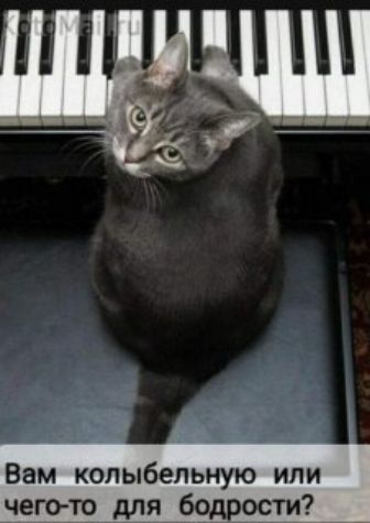Вам колыбельную или чего-то для бодрости?