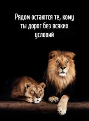 Рядом остаются те, кому ты дорог без всяких условий