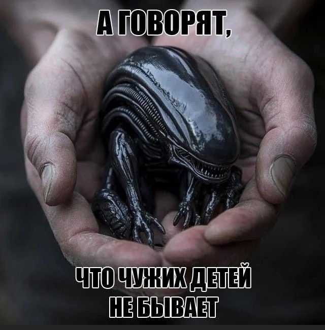 А говорят,
что чужих детей не бывает