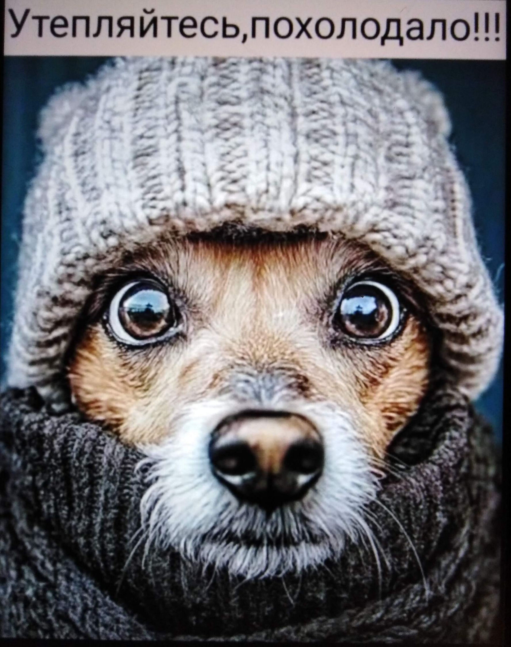 Утепляйтесь,похолодало!!!
