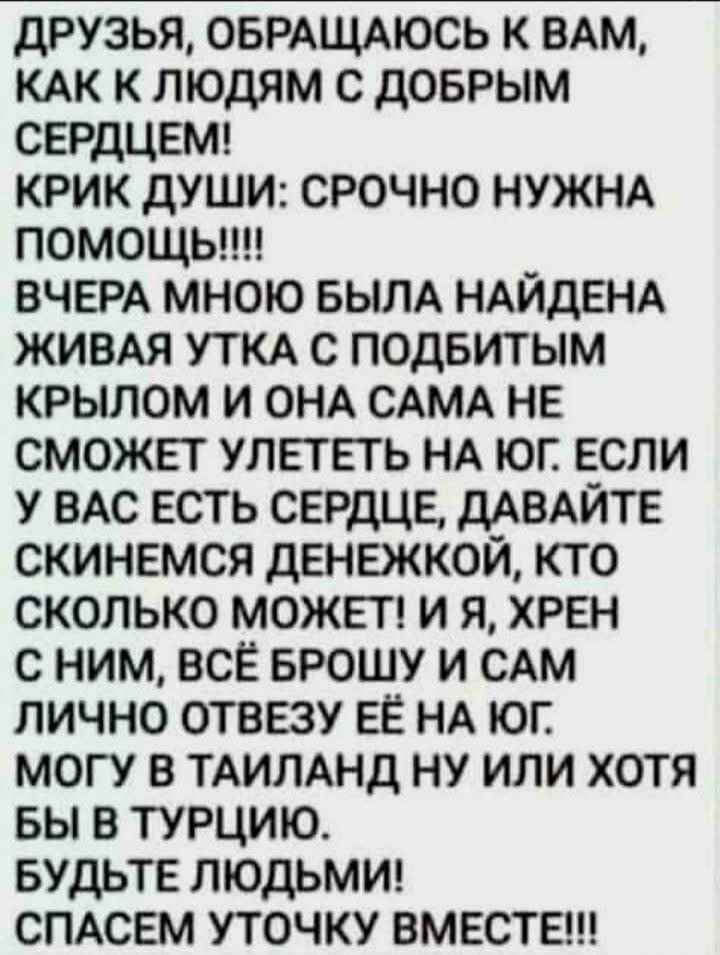 ДРУЗЬЯ, ОБРАЩАЮСЬ К ВАМ, КАК К ЛЮДЯМ С ДОБРЫМ СЕРДЦЕМ! КРИК ДУШИ: СРОЧНО НУЖНА ПОМОЩЬ!!!! ВЧЕРА МНОЮ БЫЛА НАЙДЕНА ЖИВАЯ УТКА С ПОДБИТЫМ КРЫЛОМ И ОНА САМА НЕ СМОЖЕТ УЛЕТЕТЬ НА ЮГ. ЕСЛИ У ВАС ЕСТЬ СЕРДЦЕ, ДАВАЙТЕ СКИНЕМСЯ ДЕНЕЖКОЙ, КТО СКОЛЬКО МОЖЕТ! И Я, ХРЕН С НИМ, ВСЁ БРОШУ И САМ ЛИЧНО ОТВЕЗУ ЕЁ НА ЮГ. МОГУ В ТАИЛАНД НУ ИЛИ ХОТЯ БЫ В ТУРЦИЮ. БУДЬТЕ ЛЮДЬМИ! СПАСЕМ УТОЧКУ ВМЕСТЕ!!!