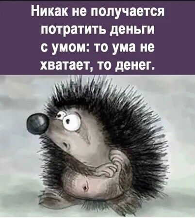 Никак не получается потратить деньги с умом: то ума не хватает, то денег.