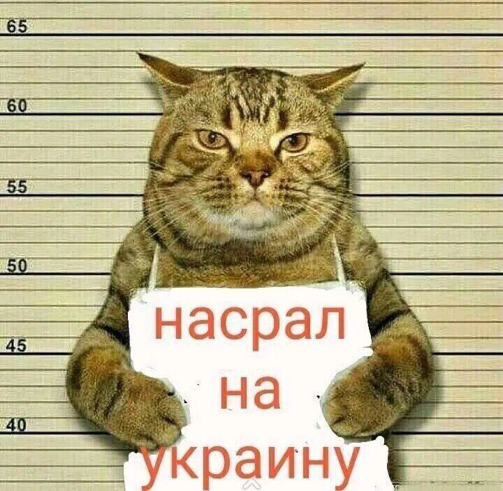 насрал на украину