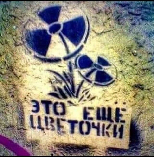 ЭТО ЕЩЕ ЦВЕТОЧКИ