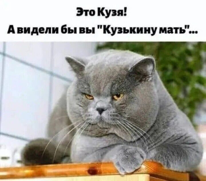 Это Кузя! А видели бы вы 'Кузькину мать'...