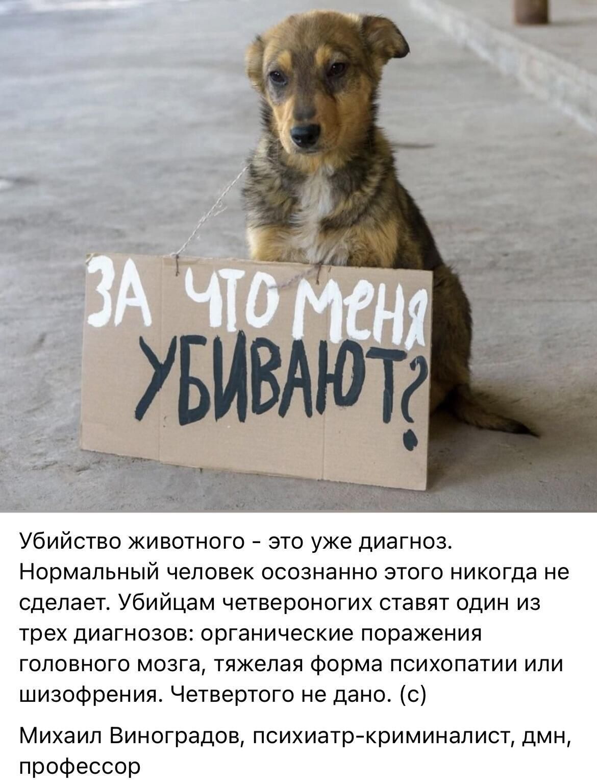 За что меня убивают?\nУбийство животного - это уже диагноз. Нормальный человек осознанно этого никогда не сделает. Убийцам четвероногих ставят один из трех диагнозов: органические поражения головного мозга, тяжёлая форма психопатии или шизофрения. Четвертого не дано. (с) Михаил Виноградов, психиатр-криминалист, дмн, профессор