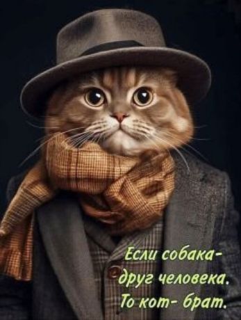 Если собака - друг человека. То кот - брат.