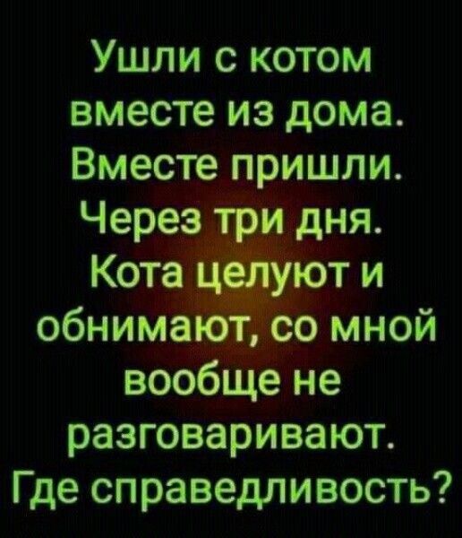 Ушли с котом вместе из дома. Вместе пришли. Через три дня. Кота целуют и обнимают, со мной вообще не разговаривают. 