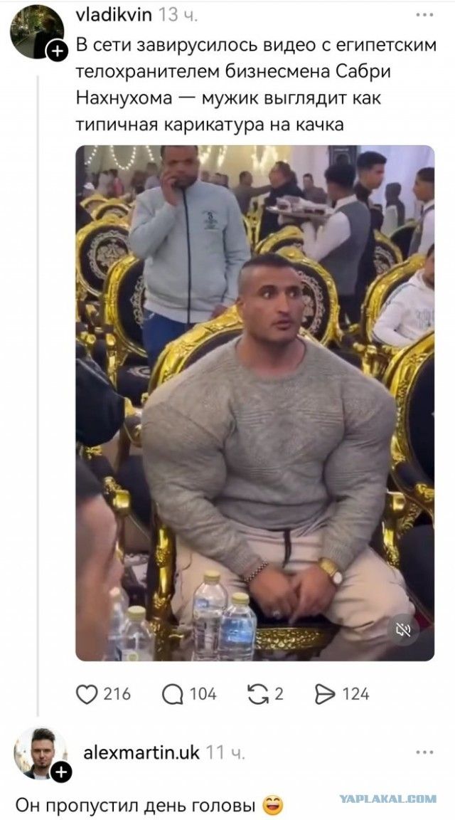 В сети завирусилось видео с египетским телохранителем бизнесмена Сабри Нахнулоха — мужик выглядит как типичная карикатура на качка. Он пропустил день головы.
