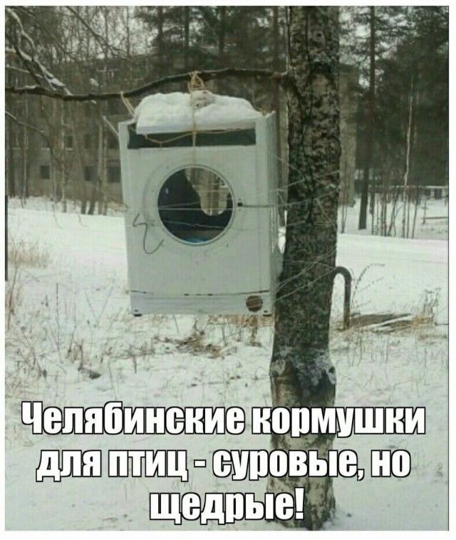 Челябинские кормушки для птиц - суровые, но щедрые!