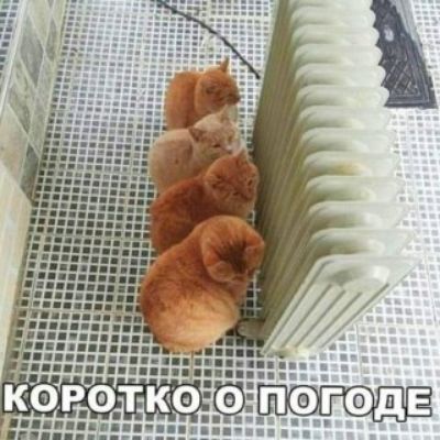Коротко о погоде