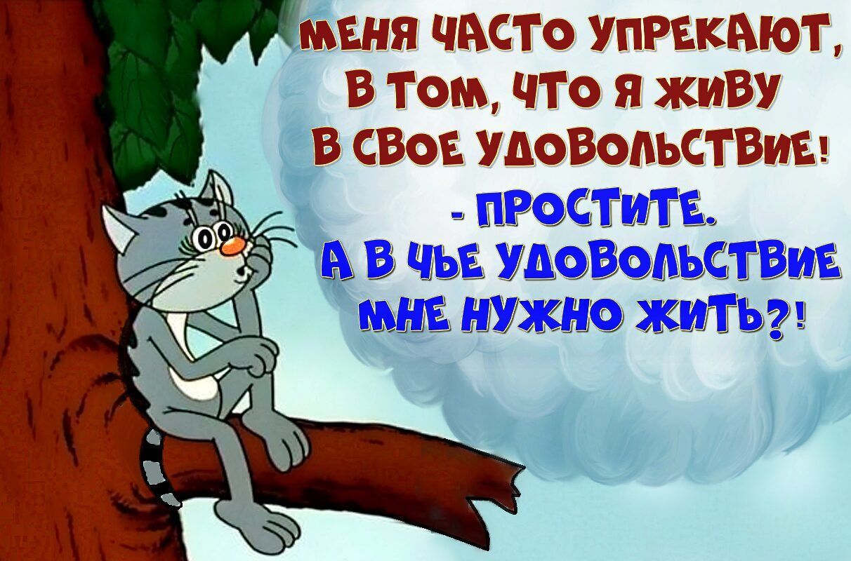 Меня часто упрекают, в том, что я живу в свое удовольствие! - Простите. А в чьё удовольствие мне нужно жить?!