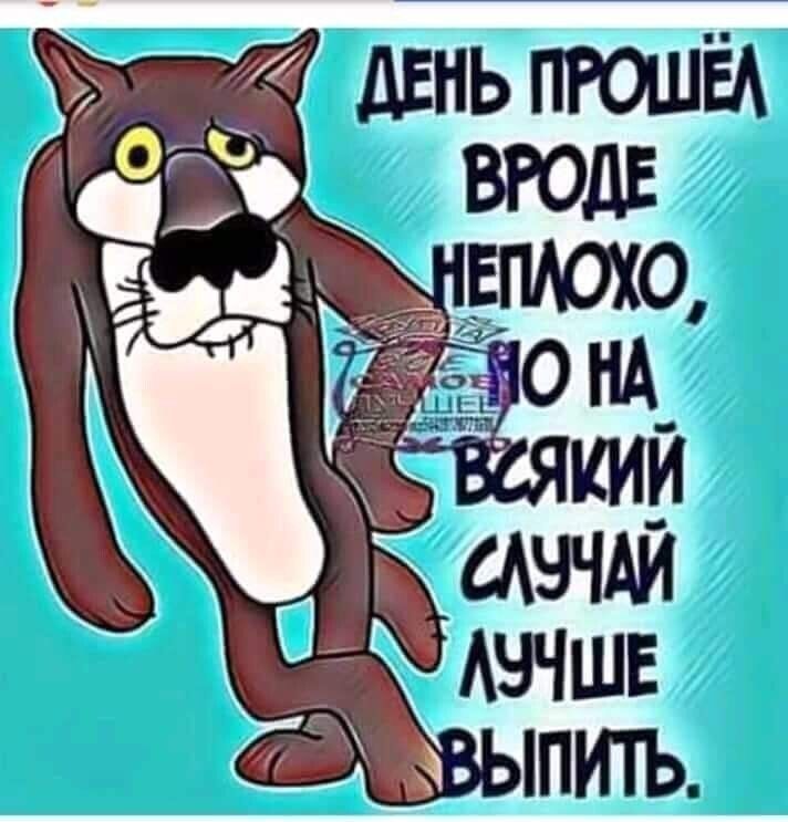 ДЕНЬ ПРОШЁЛ ВРОДЕ НЕПЛОХО, НО НА ВСЯКИЙ СЛУЧАЙ ЛУЧШЕ ВЫПИТЬ.