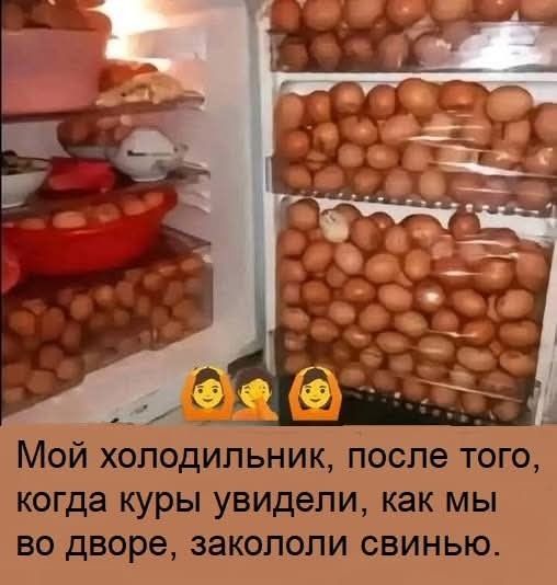 Мой холодильник, после того, когда куры увидели, как мы во дворе, закололи свинью,