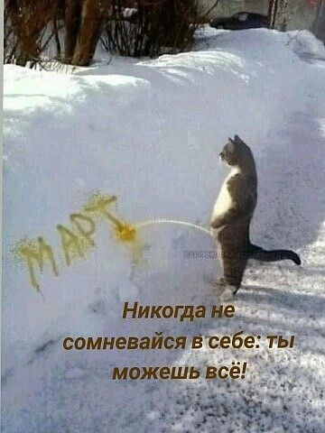 Никогда не сомневайся в себе: ты можешь всё! МАРТ