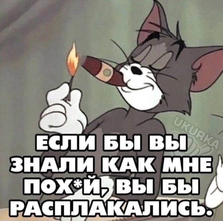 ЕСЛИ БЫ ВЫ ЗНАЛИ КАК МНЕ ПОХ*Й, ВЫ БЫ РАСПЛАКАЛИСЬ.