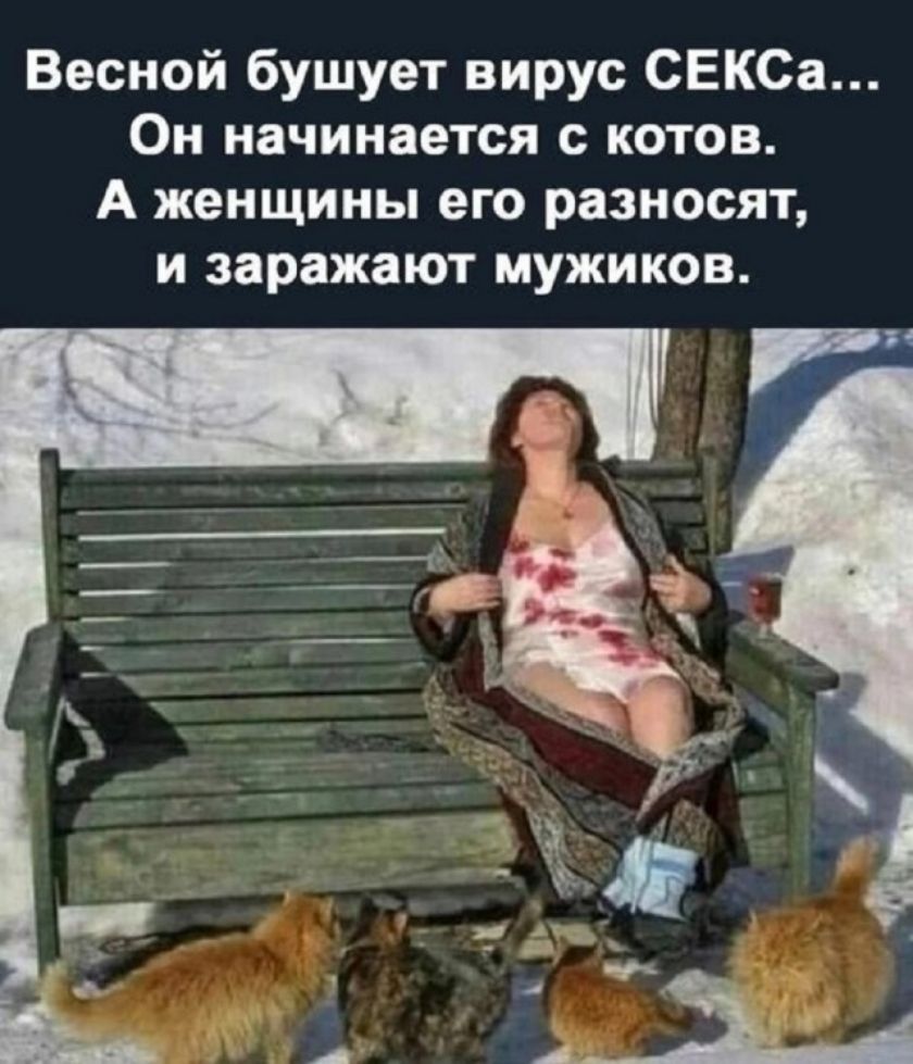 Весной бушует вирус СЕКСА... Он начинается с котов. А женщины его разносят, и заражают мужиков.