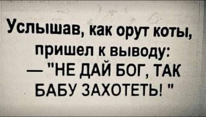 Услыхав, как орют коты, пришёл к выводу: — «НЕ ДАЙ БОГ, ТАК БАБУ ЗАХОЧЕТЬ!»