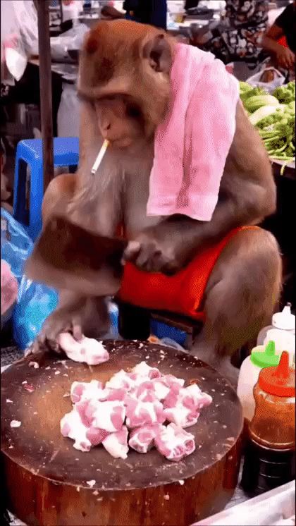 Обезьяна на рынке нарезает мясо, с полотенцем на плечах.