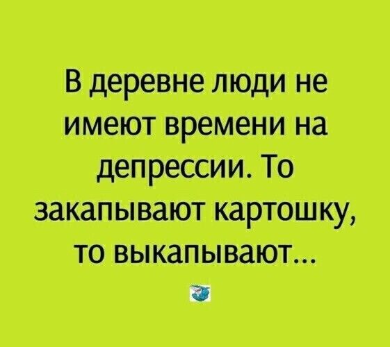 В деревне люди не имеют времени на депрессии. То закапывают картошку, то выкапывают...