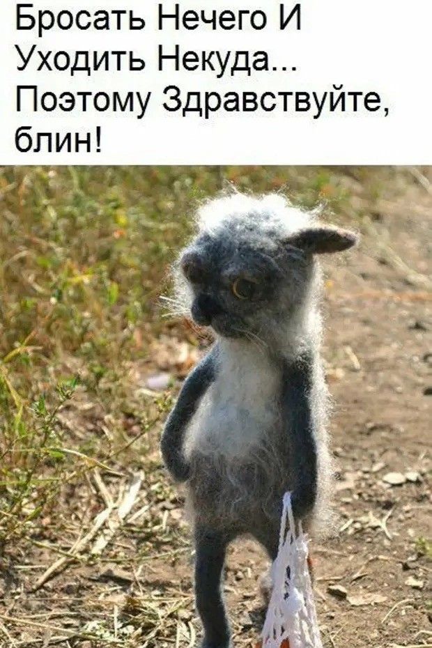 Бросать Нечего И Уходить Некуда... Поэтому Здравствуйте, блин!