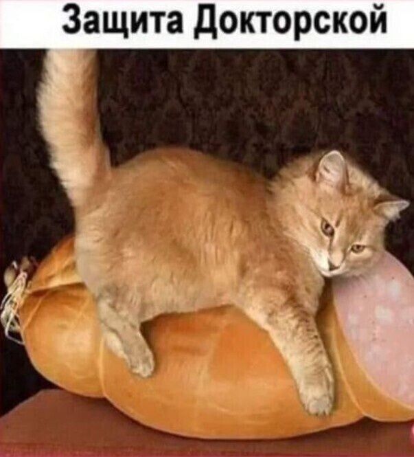 Защита Докторской