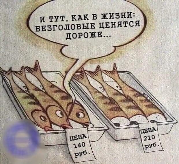 И ТУТ, КАК В ЖИЗНИ: БЕЗГОЛОВЫЕ ЦЕНЯТСЯ ДОРОЖЕ... Цена 140 руб. Цена 210 руб.
