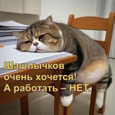 Шашлычков очень хочется! А работать — НЕТ.