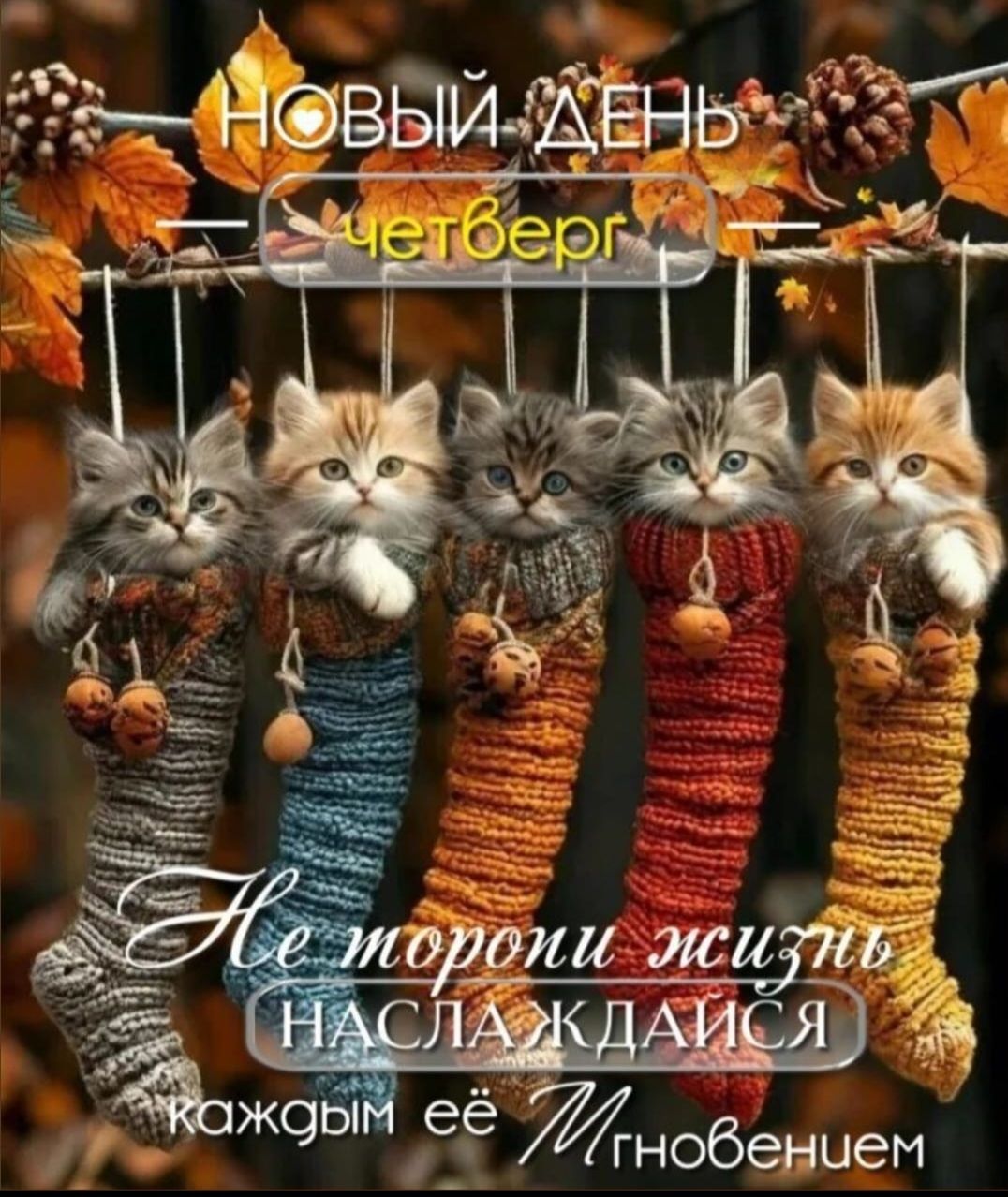 НОВЫЙ ДЕНЬ четверг\nНе торопи жизнь наслаждайся каждым её мгновением