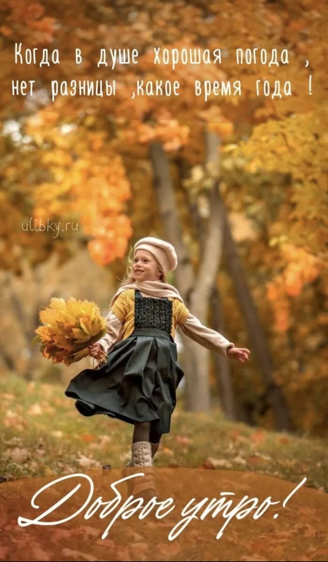 Когда в душе хорошая погода, нет разницы какое время года! Доброе утро!