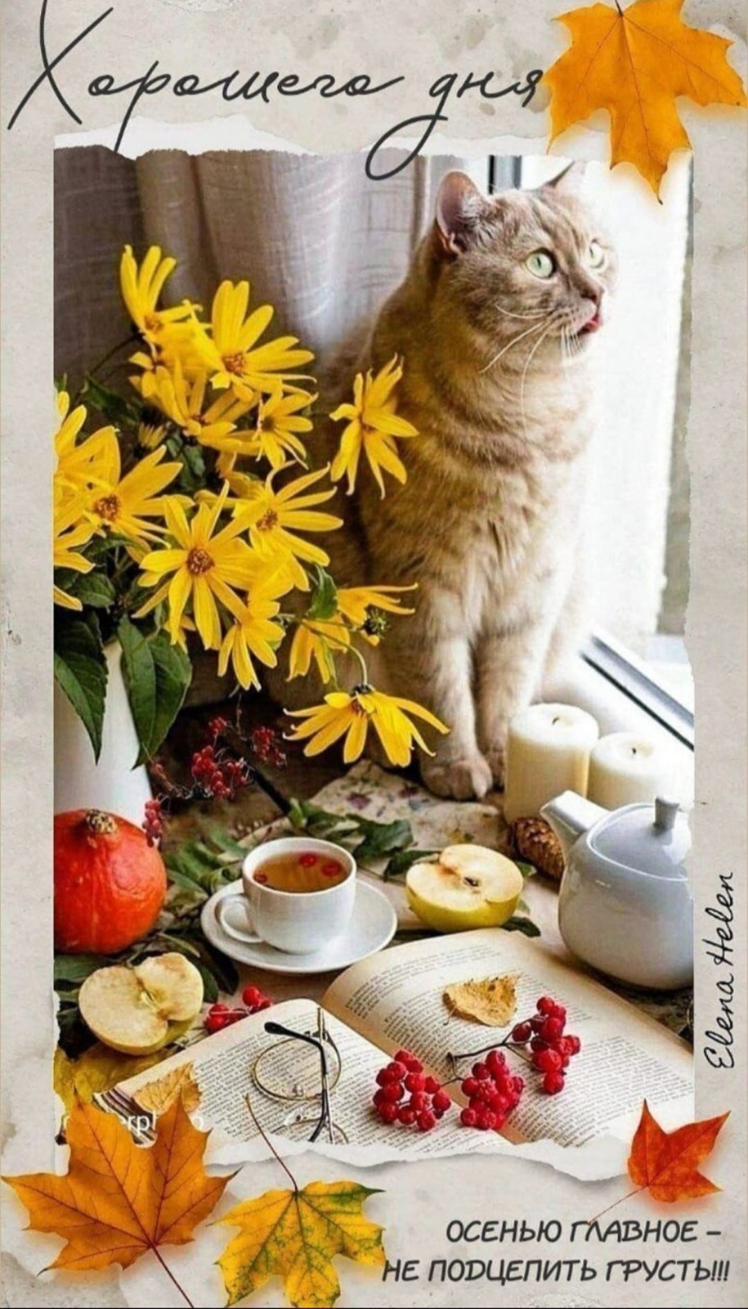 Хорошего дня
Осенью главное — не подцеплять грусть!!!
Светлана Шелеп